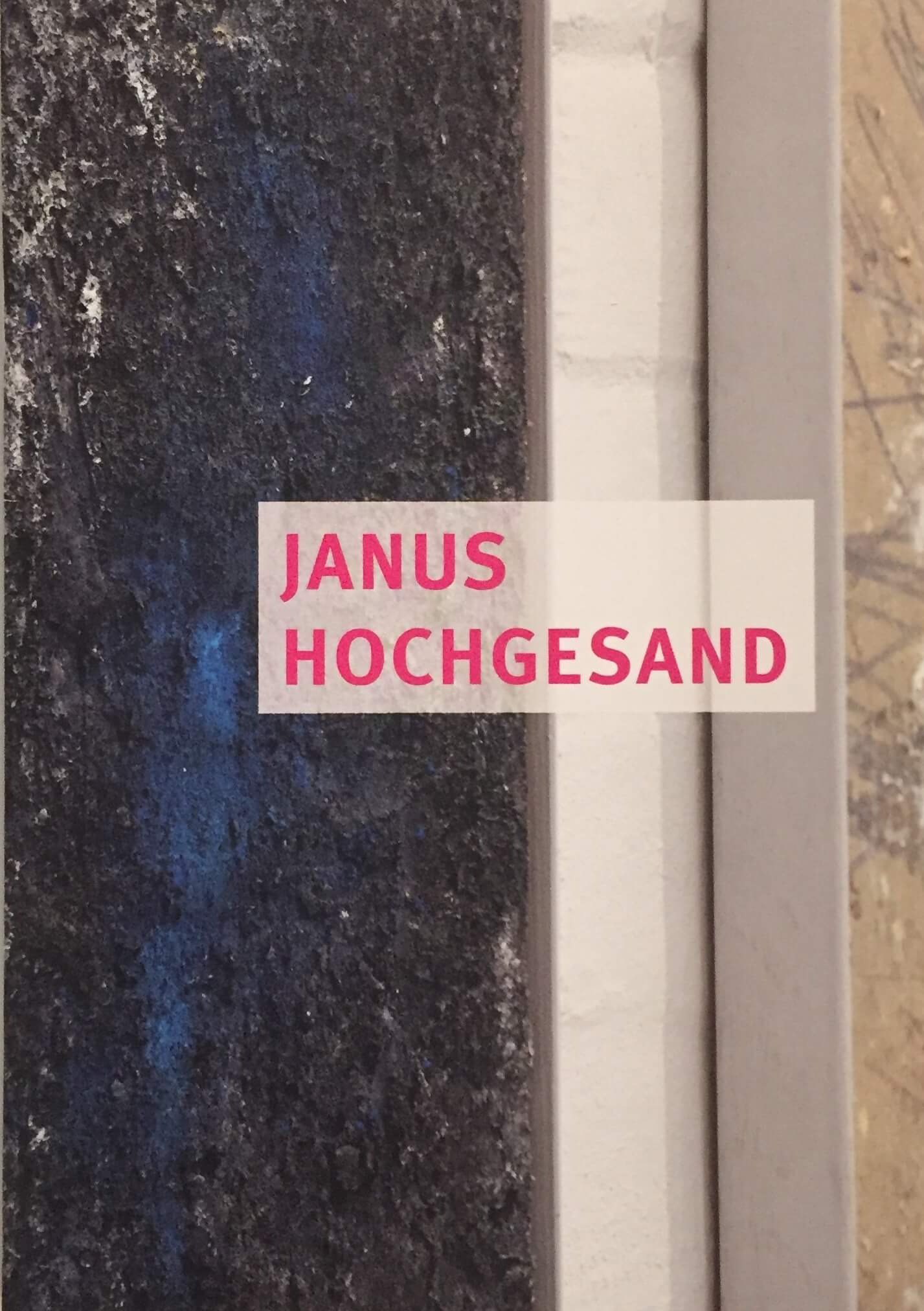 JANUS HOCHGESAND – HIGH INTENSITY PAINTING